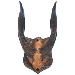 Dramatic African Horns, circa 1950 7