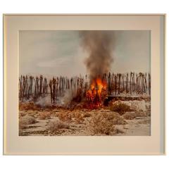 Richard Misrach Photo Desert Fire #1 Burning Palms
