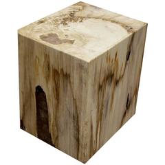 Petrified Wood with Clear Cracked Resin 8