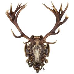 German Red Stag from Eulenburg Hunt of 1892 with Original Fürst-Pless Hunt Horn