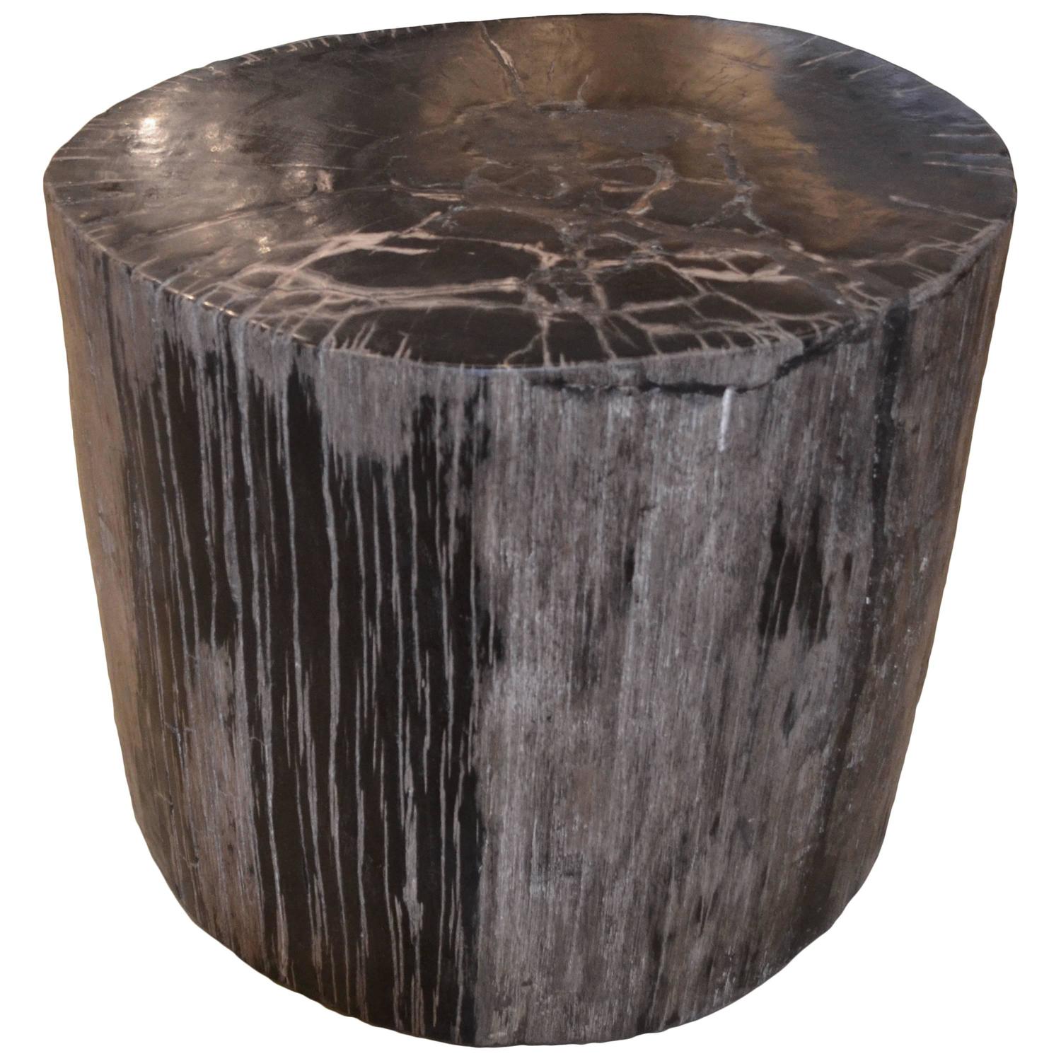 Petrified Wood Side Table For Sale at 1stdibs