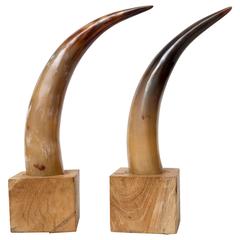 Moo Moo Designs Horn Bookends
