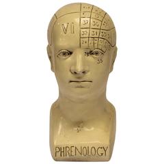 Vintage Phrenology Bust