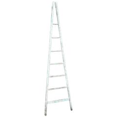 Used Orchard Ladder