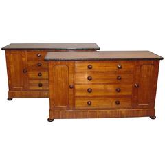 19th Century Pair of Kingwood and Ebony Side Cabinets 12