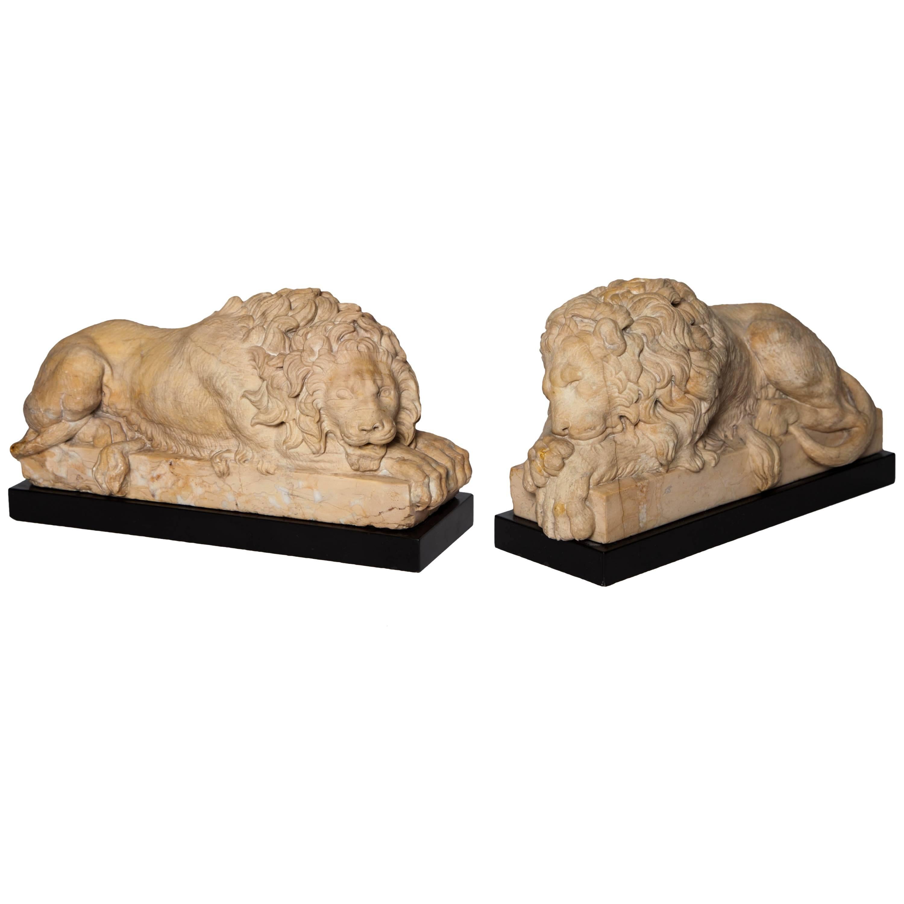 Pair of Grand Tour Period, Roman Sienna Marble Recumbent Lions after Canova