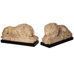 Pair of Grand Tour Period, Roman Sienna Marble Recumbent Lions after Canova