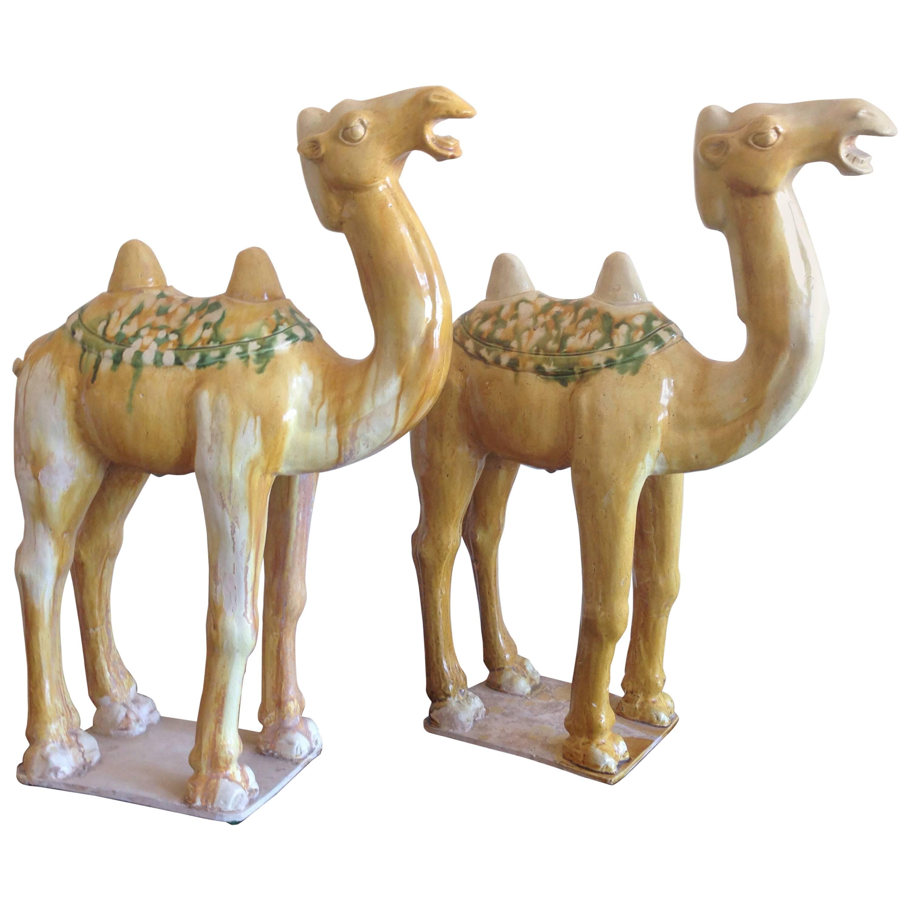 Rare Pair of Sancai Glazed Camels For Sale