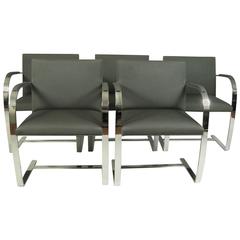 Set of 12 Knoll Brno Chairs Designed by Mies Van der Rohe