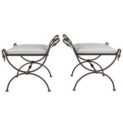 Pair of Neoclassical Iron and Brass Swan Benches