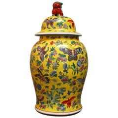 Chinese Famille Jaune Ginger Jar