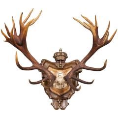 18th Century Magnificent Red Stag Trophy on Crowned Plaque