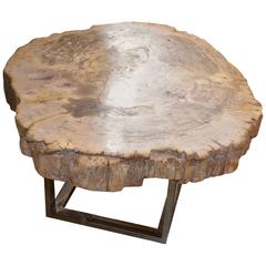 Antique Andrianna Shamaris Petrified Wood Slab Table