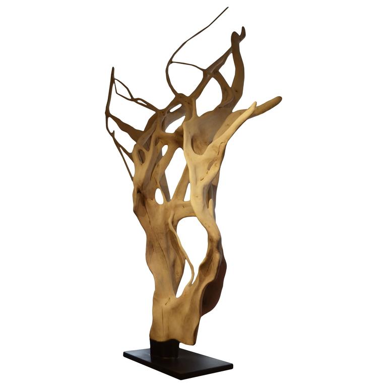 Andrianna Shamaris Ficus Wood Tree Sculpture For Sale at 1stdibs