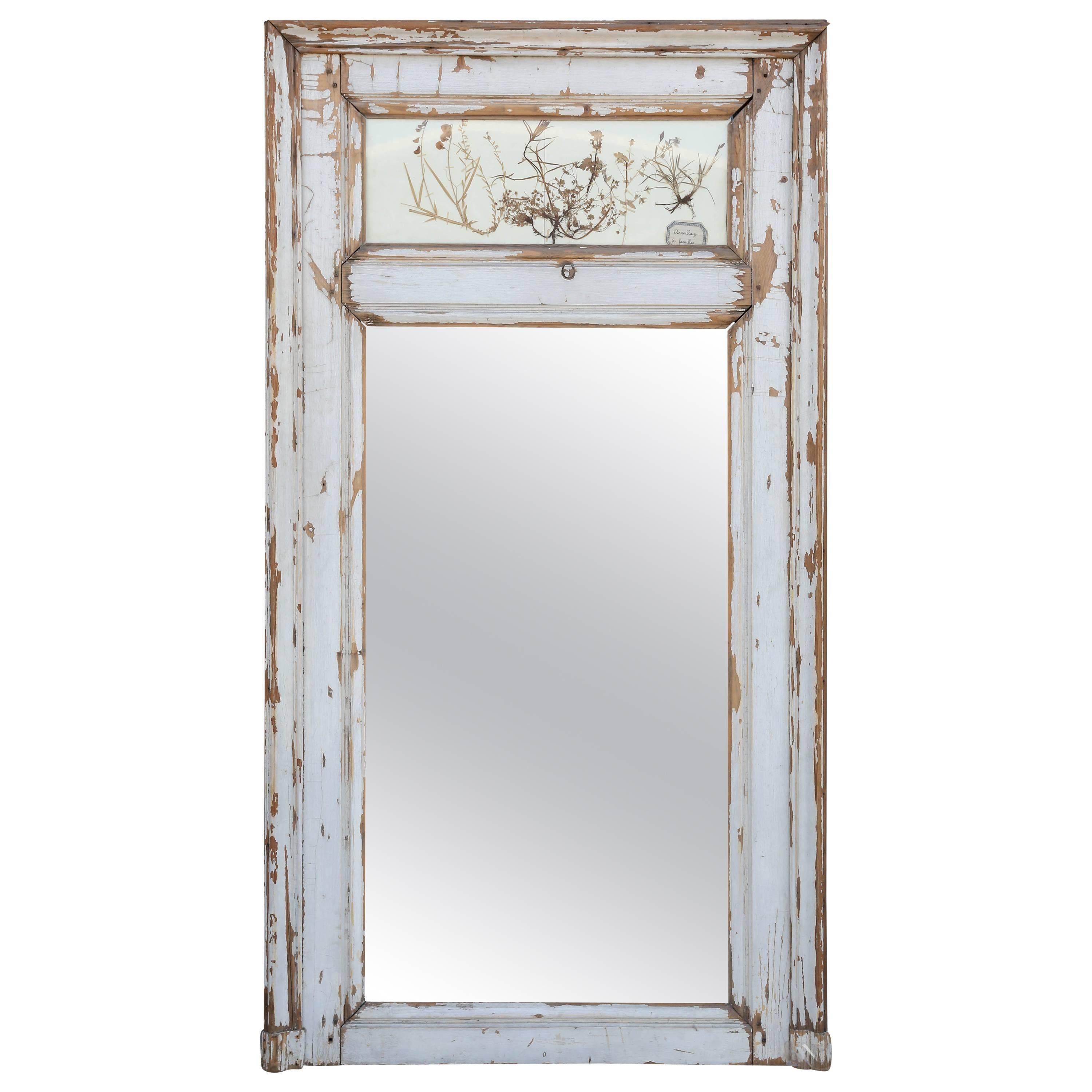 19th Century French Trumeau Mirror with Herbs