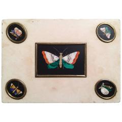 Pietra Dura Butterfly Paperweight 