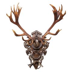 Antique 19th Century Red Stag Trophy from 1892 Eulenburg Hunt of Kaiser Wilhelm II