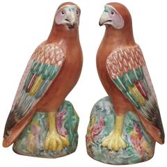 Pair of Chinese Famille Rose Parrots