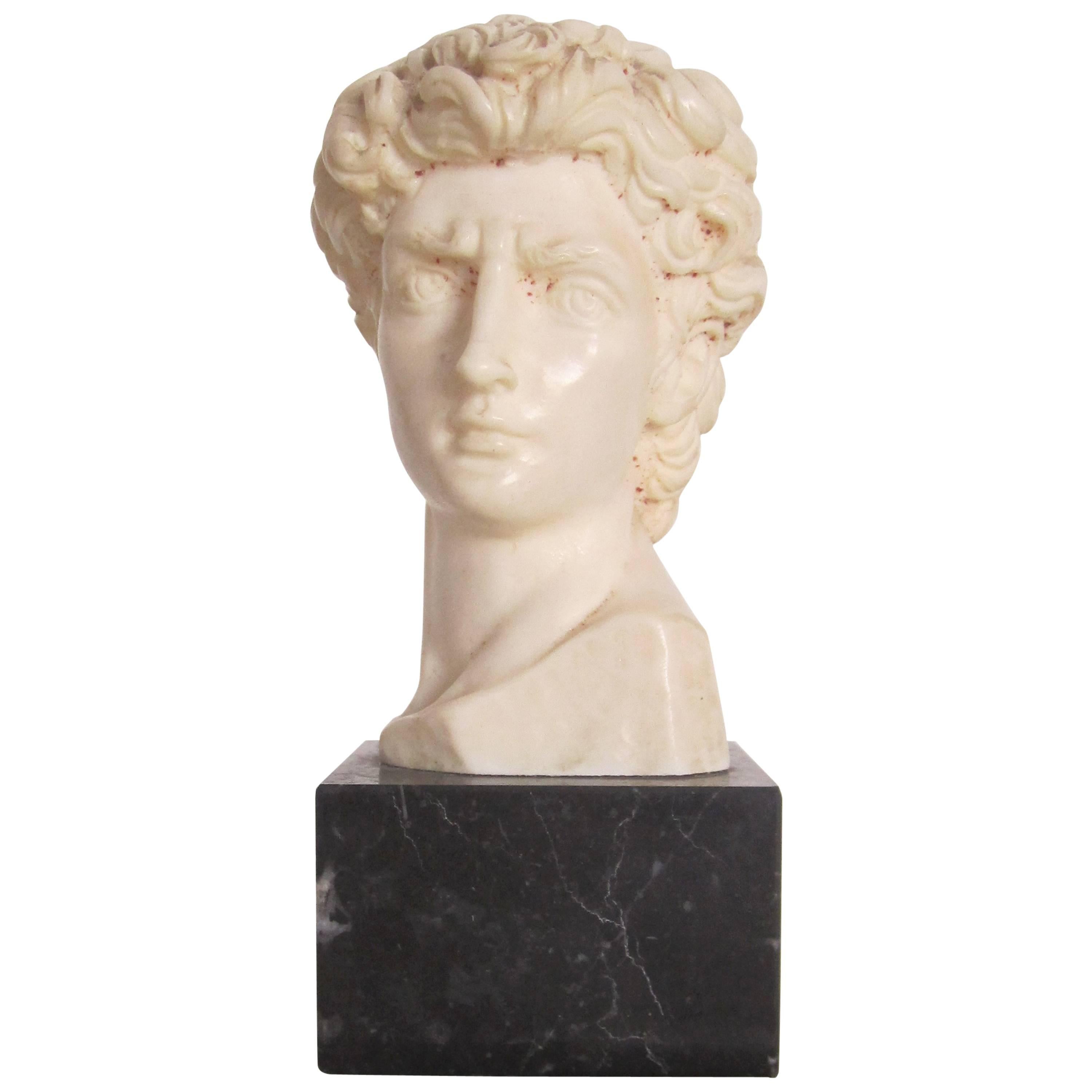 Classic Roman Bust on Black Marble Base Signed by Sculptor G. Ruggeri, Italy