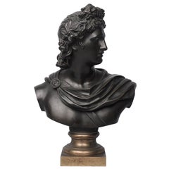 19th Century Grand Tour Bronze Bust of Apollo Belvedere after Leochares