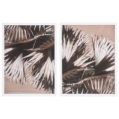 "Palm Helix" Diptych by Christine Ralphs