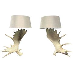 Set of Canadian moose antler lamps