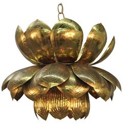 Brass Lotus Chandelier from Feldman Lighting Co.  