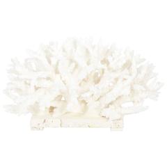 Dramatic Branch Coral Sculpture or Centerpiece