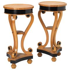 Pair of Pedestal or Lamp Tables in the Biedermeier manner