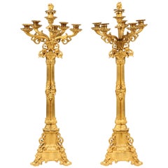 Pair of Large Gilt Bronze Candelabra