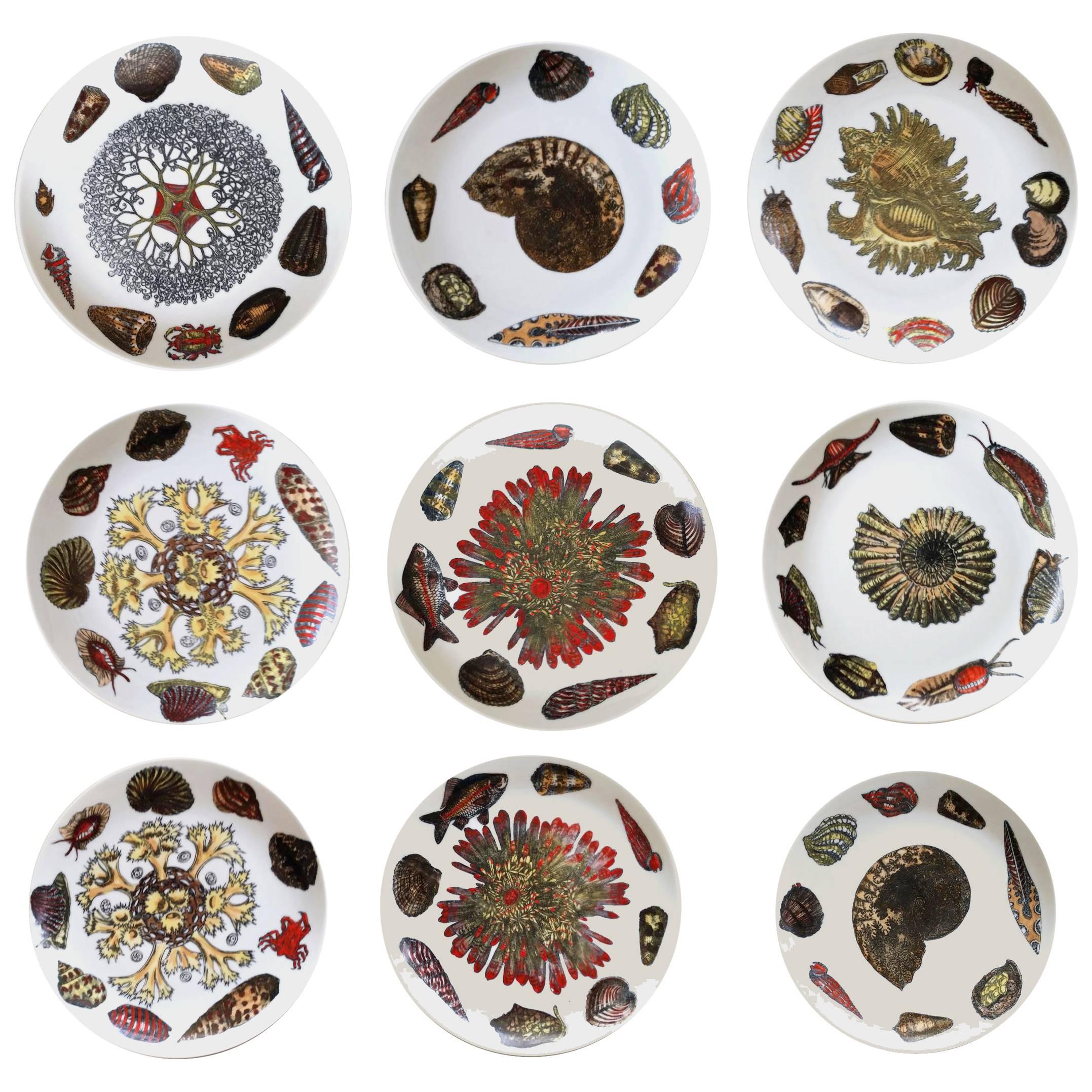 Piero Fornasetti Set of nine Plates in Early Conchiglie seashell pattern.