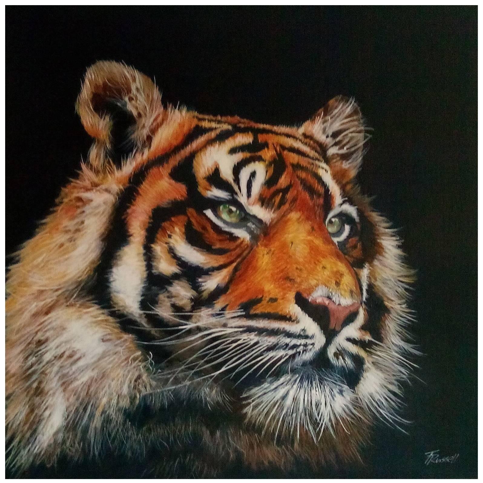 Terence Russell Animal Painting - " Tiger Tiger "  