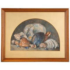 Superb Quality Victorian Watercolor Painting of Seashells 8