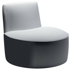 Baobab Accent Chair by Alberto Lievore