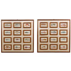 Pair of Large Panels Depicting Twenty-Four Fish Engravings 11