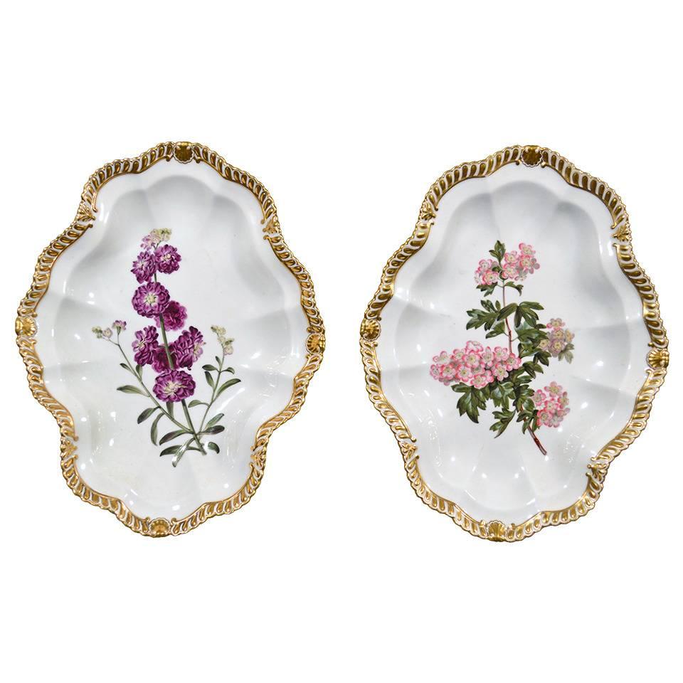 Chamberlain Worcester Porcelain Furniture Dinnerware, Decor & More