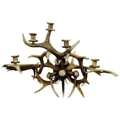 Large Black Forest Antler Sconce for Five Candles