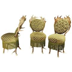 Set of Three Antler Parlor Chairs, Austria, 19th Century 9