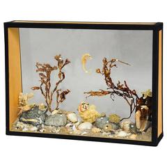 Antique Natural Wunderkammer Aquarium Specimen 11
