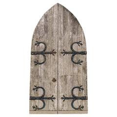 Pair of Mid-19th Century Oak Arched Doors