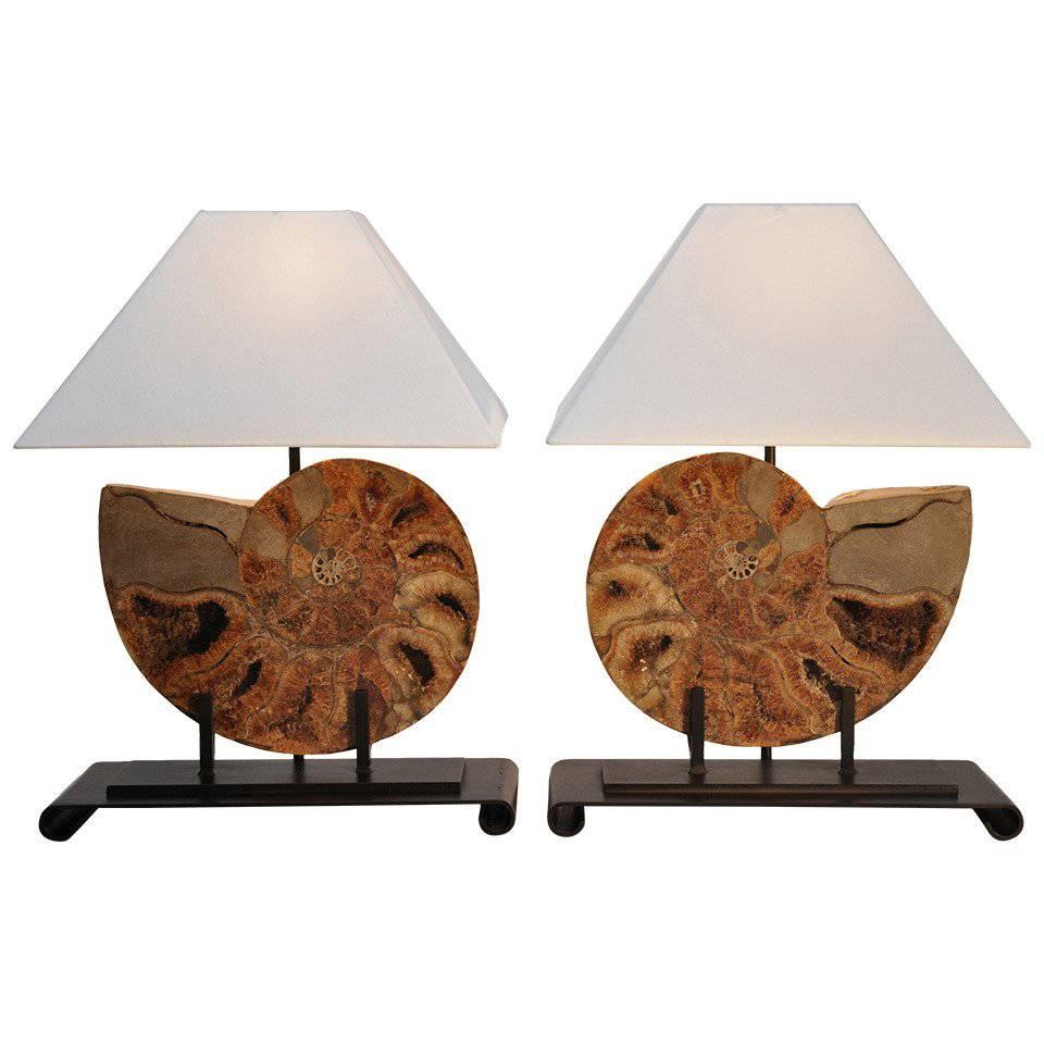 Large Modern Table Lamps with Fossils