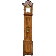 19th Century Horloge de Parquet or Tall Case Clock