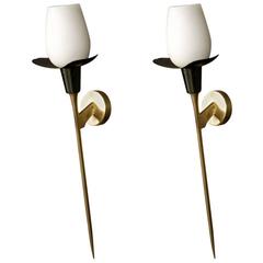 Vintage Pair of 1950s 'Tulips' Sconces by Maison Arlus