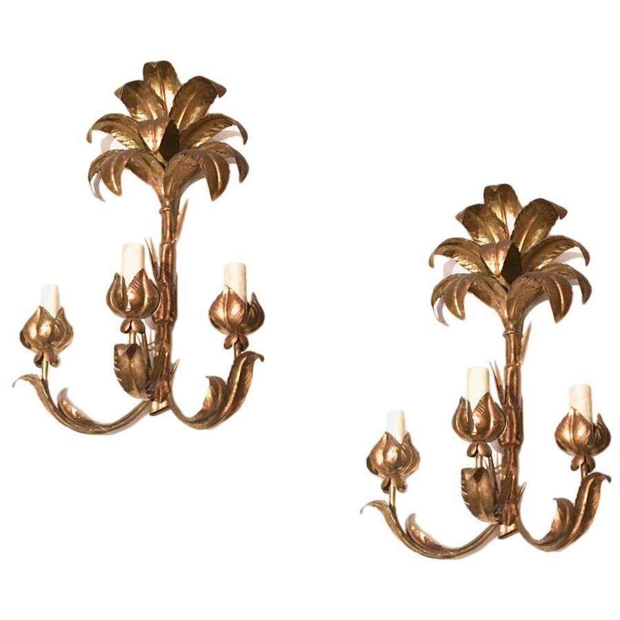 Set of Large Palm Frond Sconces, Sold per pair For Sale