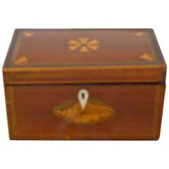 English 19th Century Rosewood Tea Caddy