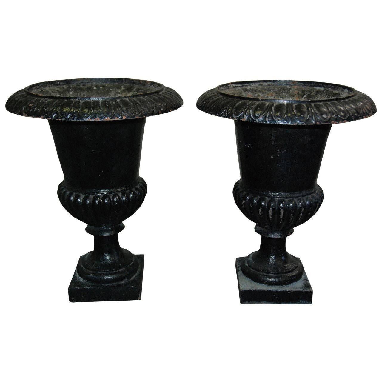 Pair of French Iron Jardinière For Sale