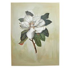 Vintage Oil Painting on Board, Magnolia Specimen