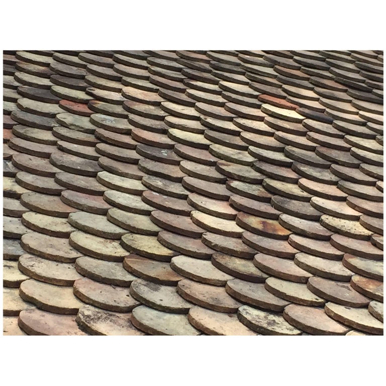 French Original Antique RoofTile in Terracotta, 19th Century, France