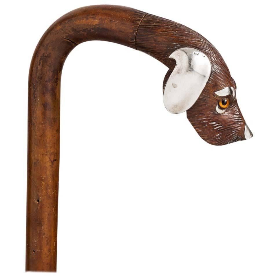 Early 20th Century Walking Cane with Carved Dogs Head, France, circa 1915
