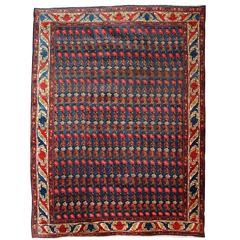 Persian Senneh Carpet circa 1900 with Pure Wool Pile and Natural Vegetable Dyes 2